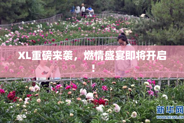 XL重磅来袭，燃情盛宴即将开启！
