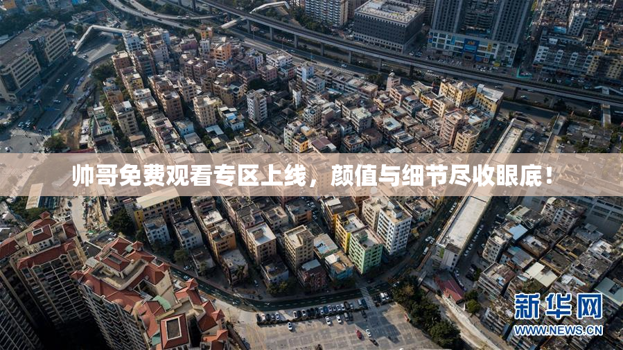 帅哥免费观看专区上线，颜值与细节尽收眼底！