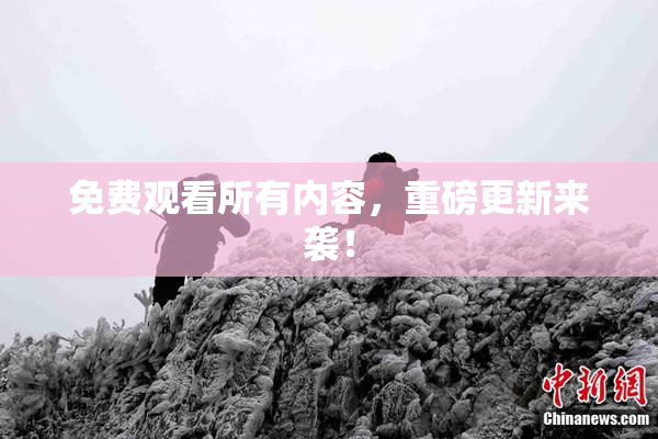 免费观看所有内容，重磅更新来袭！