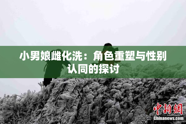 小男娘雌化洗：角色重塑与性别认同的探讨