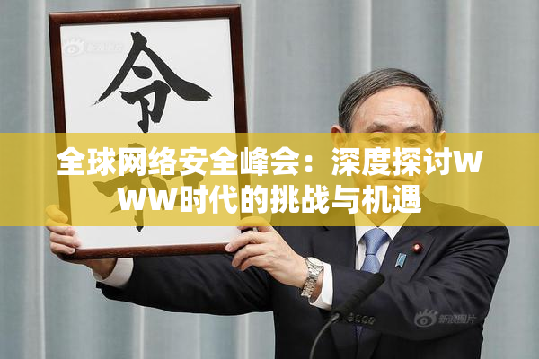 全球网络安全峰会：深度探讨WWW时代的挑战与机遇