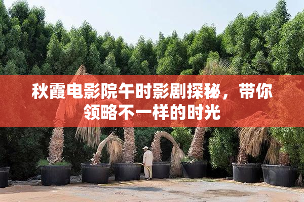 秋霞电影院午时影剧探秘，带你领略不一样的时光