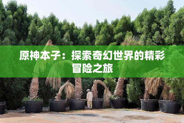 原神本子：探索奇幻世界的精彩冒险之旅