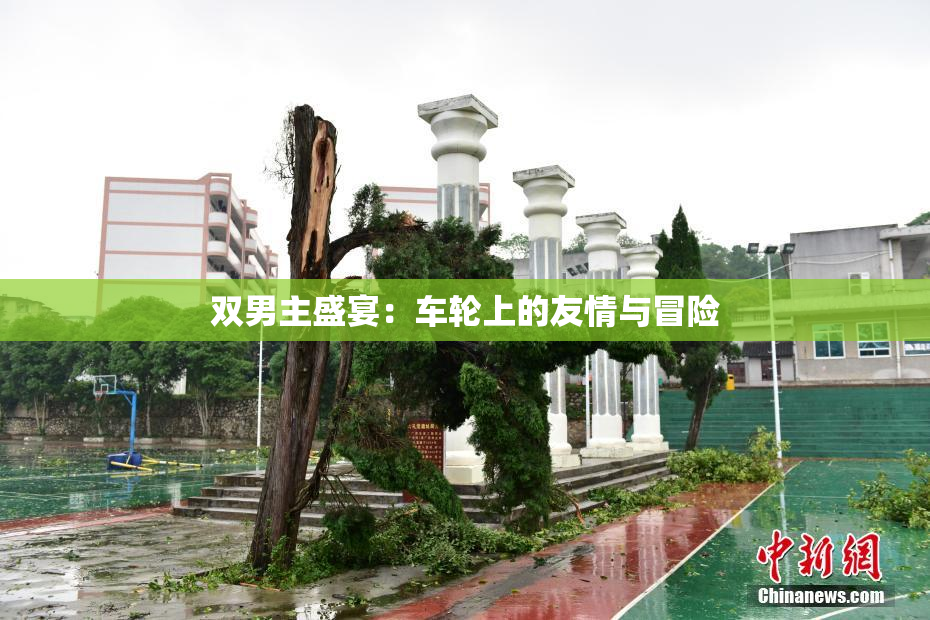 双男主盛宴：车轮上的友情与冒险