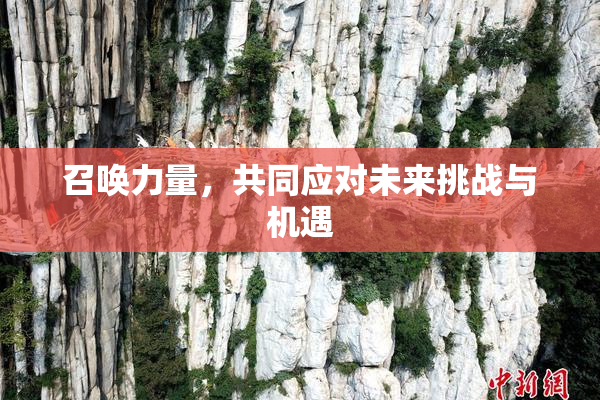 召唤力量，共同应对未来挑战与机遇