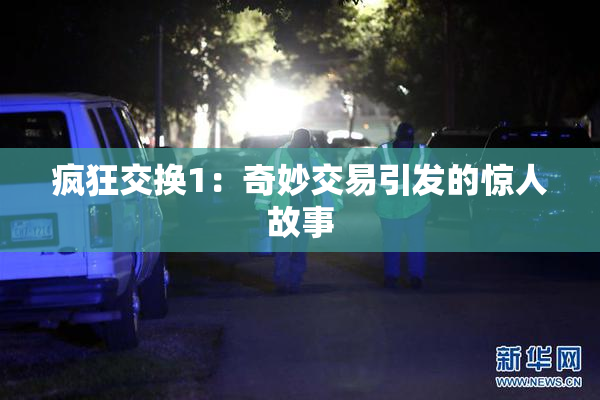 疯狂交换1：奇妙交易引发的惊人故事