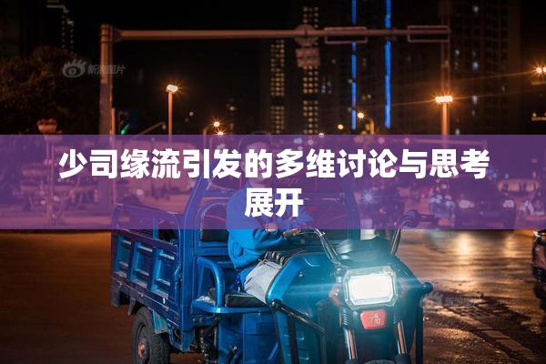 少司缘流引发的多维讨论与思考展开