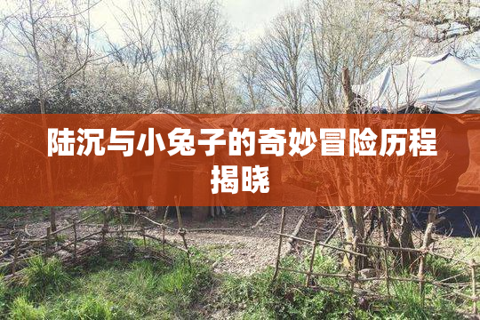 陆沉与小兔子的奇妙冒险历程揭晓