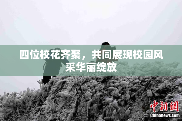 四位校花齐聚，共同展现校园风采华丽绽放