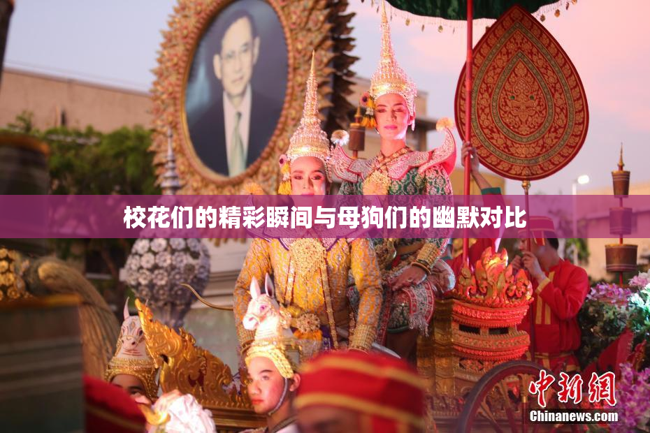 校花们的精彩瞬间与母狗们的幽默对比