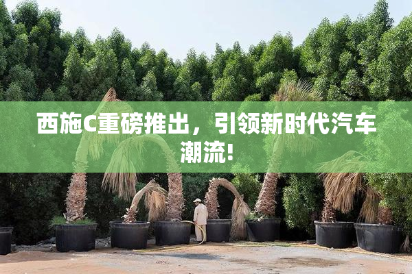 西施C重磅推出，引领新时代汽车潮流!