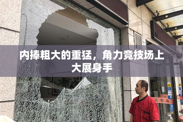 内捧粗大的重猛，角力竞技场上大展身手