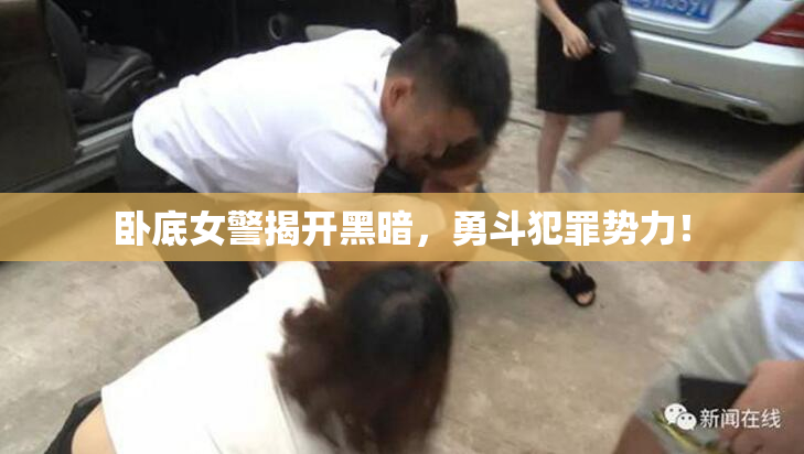 卧底女警揭开黑暗，勇斗犯罪势力！