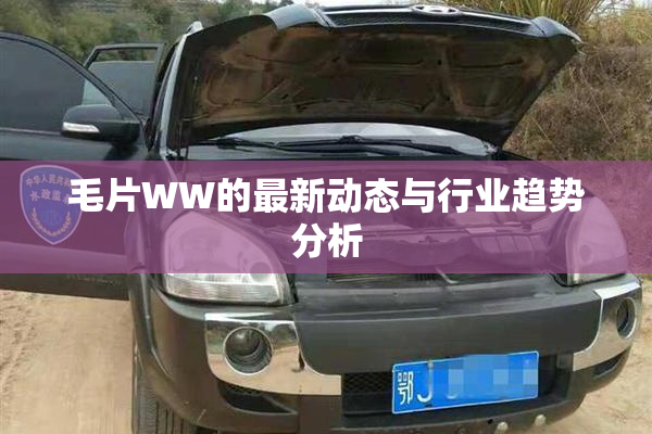 毛片WW的最新动态与行业趋势分析