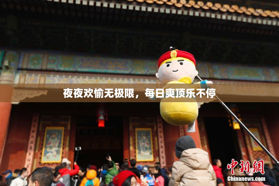 夜夜欢愉无极限，每日爽顶乐不停