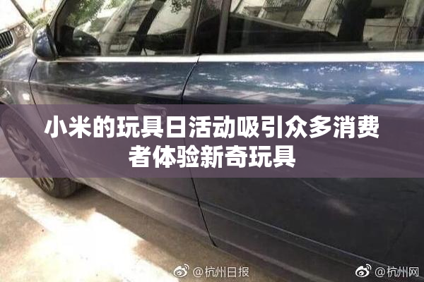 小米的玩具日活动吸引众多消费者体验新奇玩具