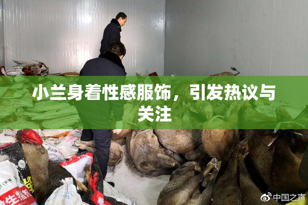 小兰身着性感服饰，引发热议与关注