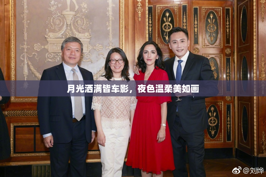 月光洒满皆车影，夜色温柔美如画