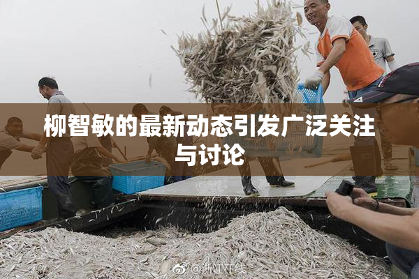 柳智敏的最新动态引发广泛关注与讨论