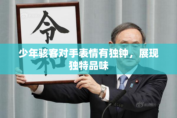 少年骇客对手表情有独钟，展现独特品味