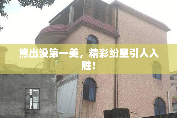 熊出没第一美，精彩纷呈引人入胜！