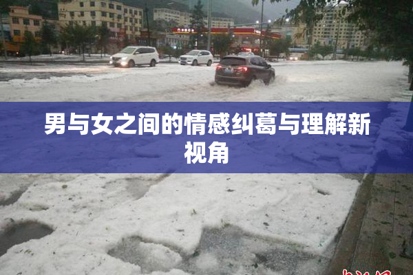 男与女之间的情感纠葛与理解新视角