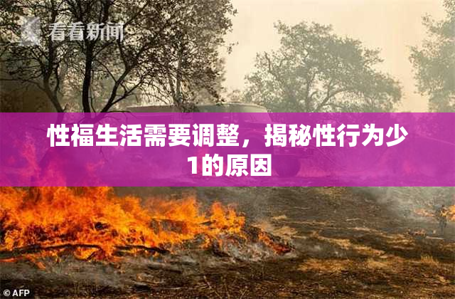 性福生活需要调整，揭秘性行为少1的原因