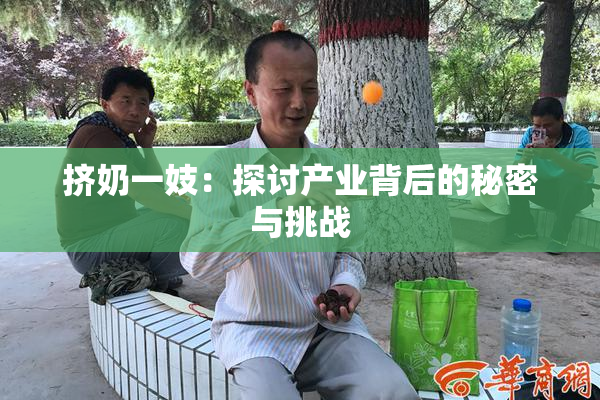 挤奶一妓：探讨产业背后的秘密与挑战