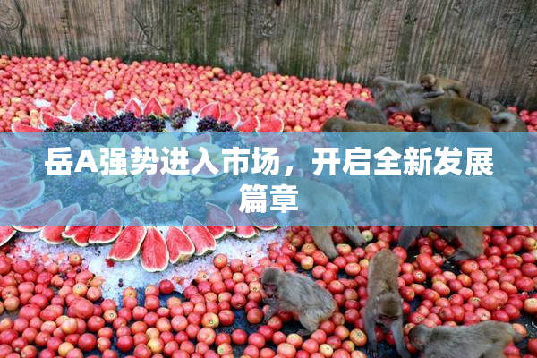 岳A强势进入市场，开启全新发展篇章