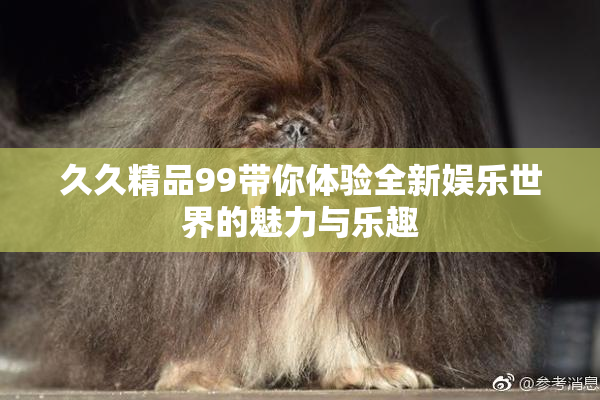 久久精品99带你体验全新娱乐世界的魅力与乐趣