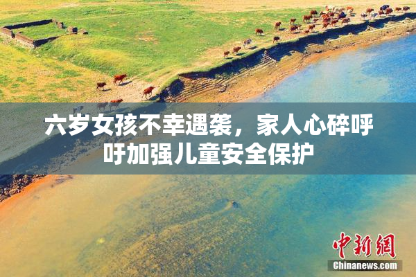 六岁女孩不幸遇袭，家人心碎呼吁加强儿童安全保护