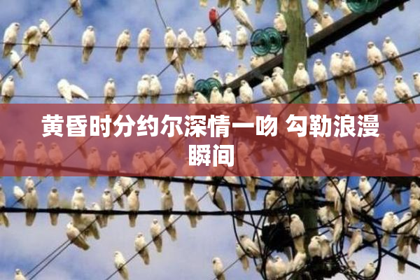黄昏时分约尔深情一吻 勾勒浪漫瞬间
