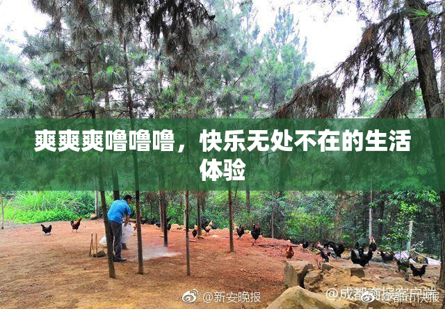 爽爽爽噜噜噜，快乐无处不在的生活体验