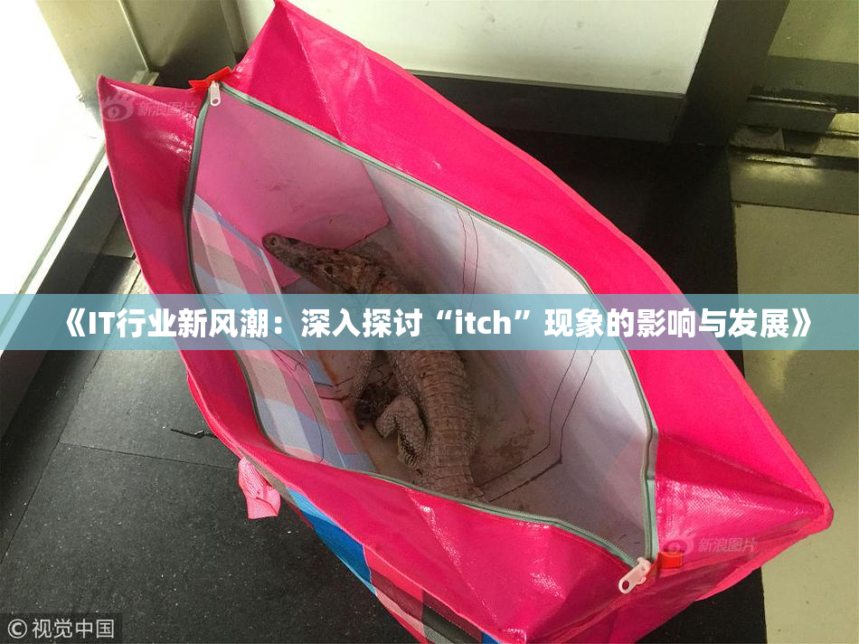《IT行业新风潮：深入探讨“itch”现象的影响与发展》
