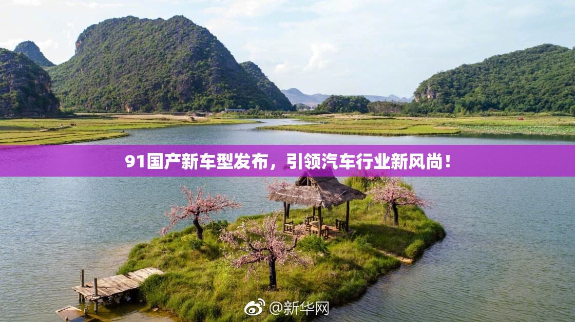 91国产新车型发布，引领汽车行业新风尚！