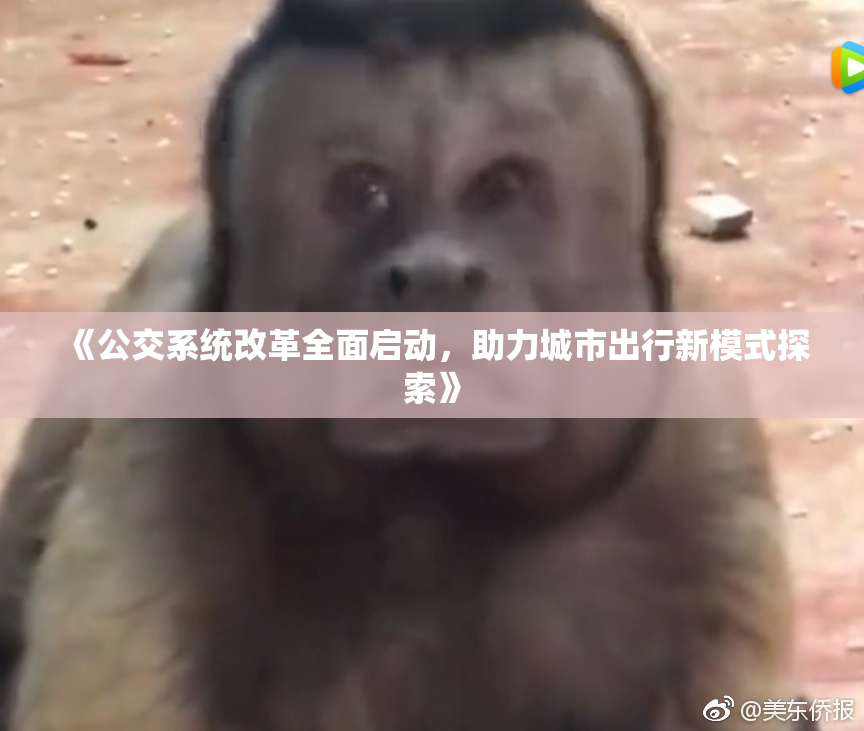 《公交系统改革全面启动，助力城市出行新模式探索》