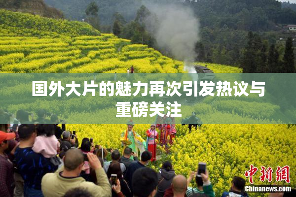 国外大片的魅力再次引发热议与重磅关注