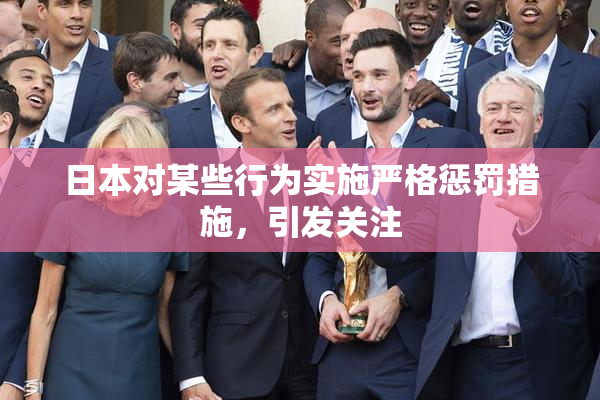 日本对某些行为实施严格惩罚措施，引发关注