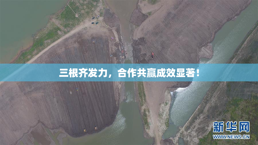 三根齐发力，合作共赢成效显著！