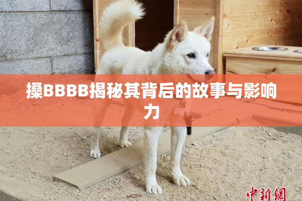 搡BBBB揭秘其背后的故事与影响力