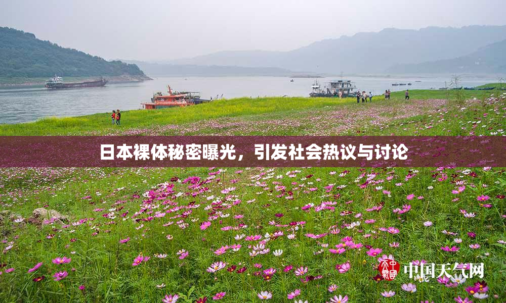 日本裸体秘密曝光，引发社会热议与讨论