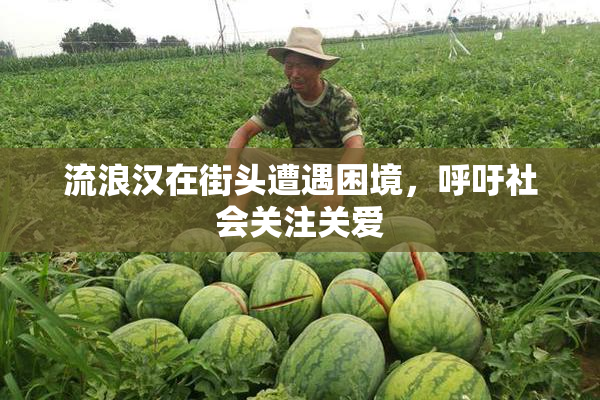 流浪汉在街头遭遇困境，呼吁社会关注关爱