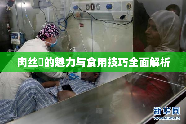 肉丝祙的魅力与食用技巧全面解析