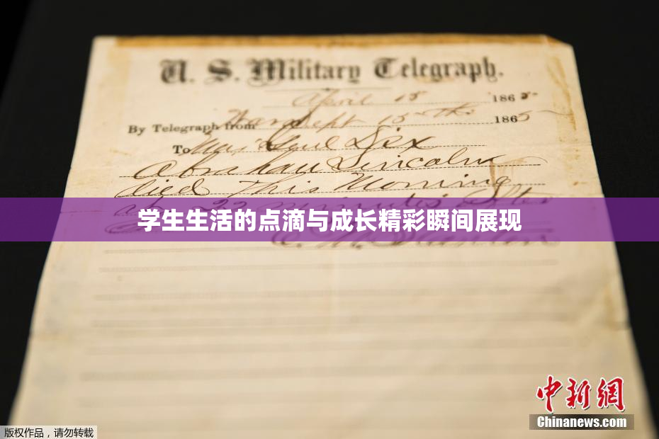 学生生活的点滴与成长精彩瞬间展现