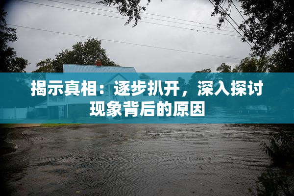 揭示真相：逐步扒开，深入探讨现象背后的原因