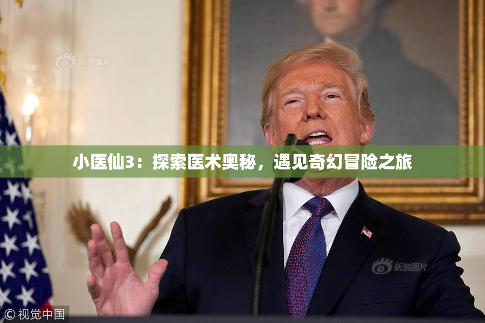 小医仙3：探索医术奥秘，遇见奇幻冒险之旅