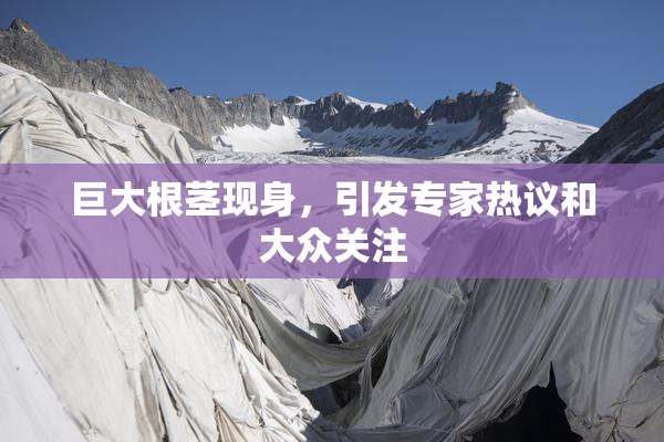 巨大根茎现身，引发专家热议和大众关注