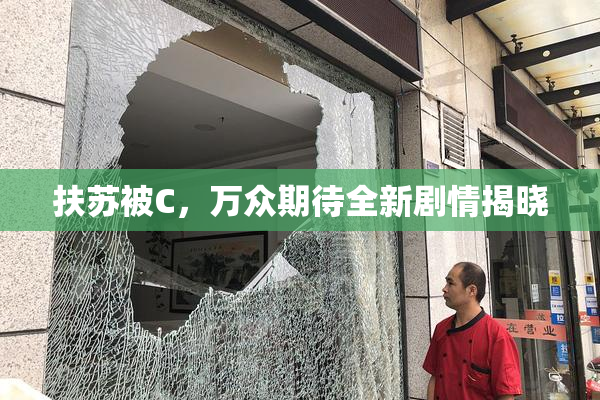 扶苏被C，万众期待全新剧情揭晓