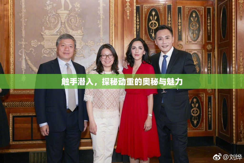 触手潜入，探秘动重的奥秘与魅力