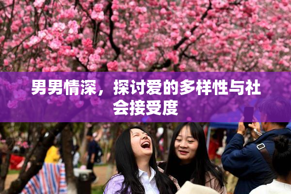 男男情深，探讨爱的多样性与社会接受度